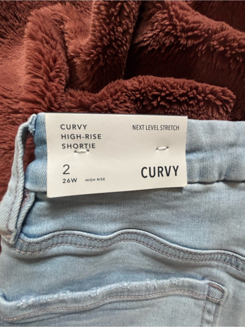 NWT-American Eagle CURVY HIGH-RISE SHORTIE  High Waist Women's Denim Shorts - Picture 6 of 7
